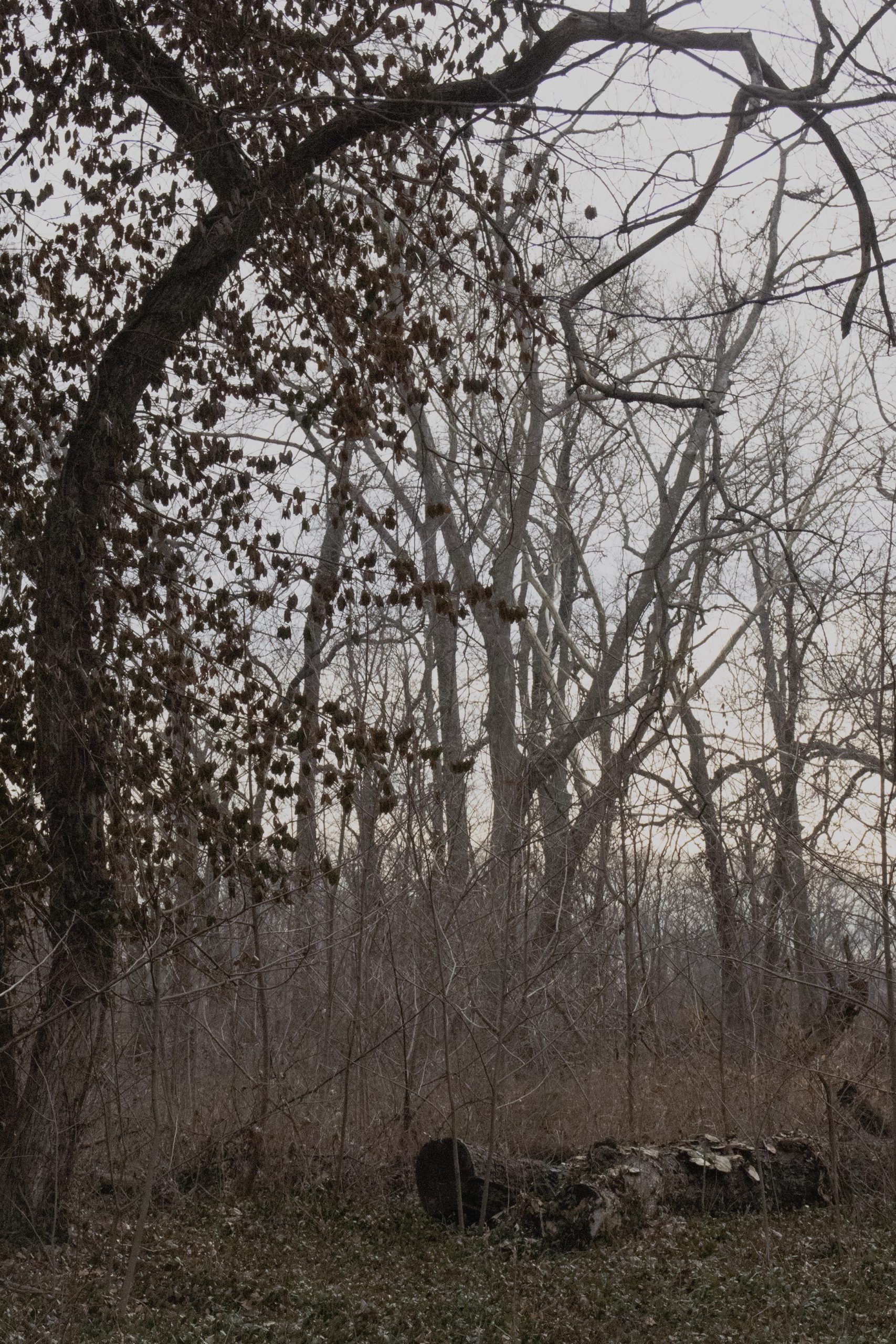 Final Selection_7 copy 2