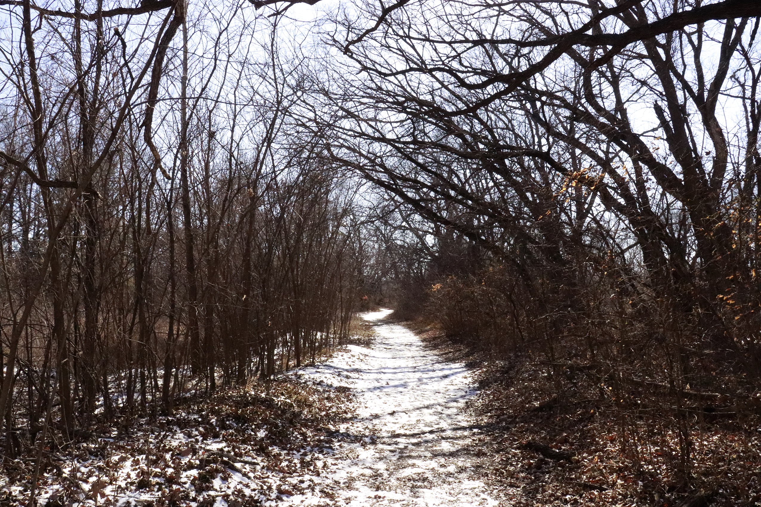 Final Selection_8 copy 2