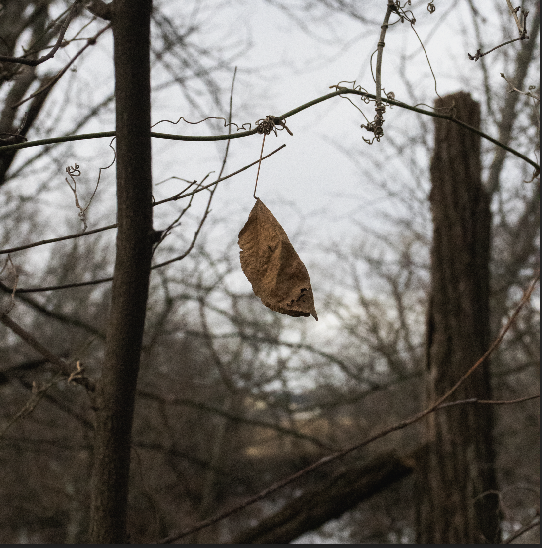 Screenshot 2025-10-13 at 2.31.04 PM